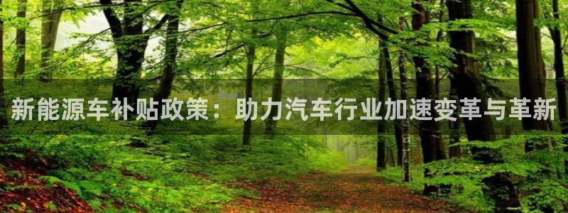 新宝gg账号