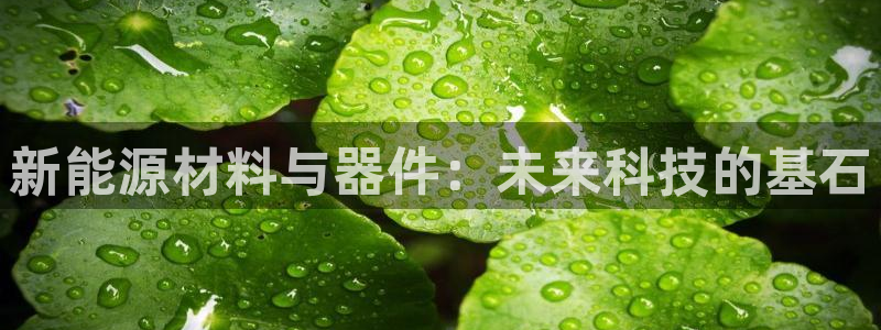 新宝 -gg登录