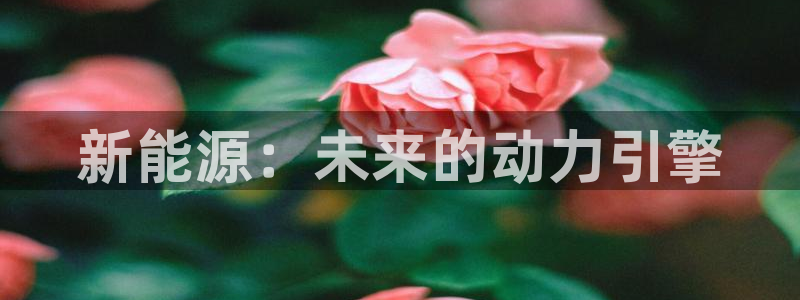 新宝gg充值