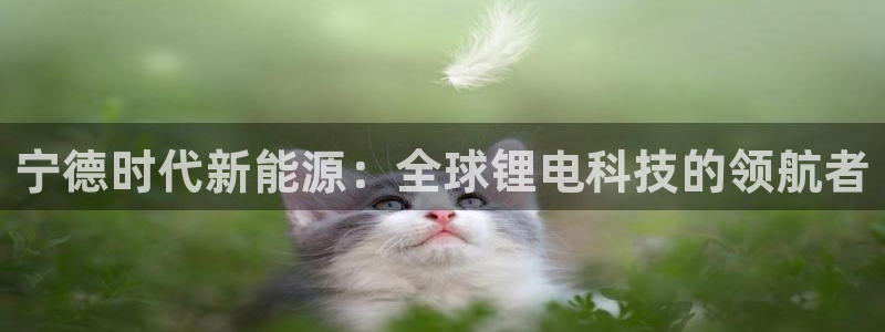正版新宝gg