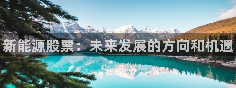 新宝gg投注