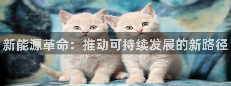 新宝gg申请账号