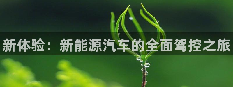 新宝gg传奇