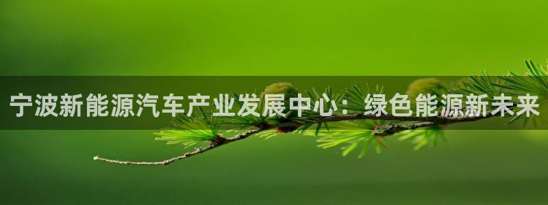 新宝gg找回账号