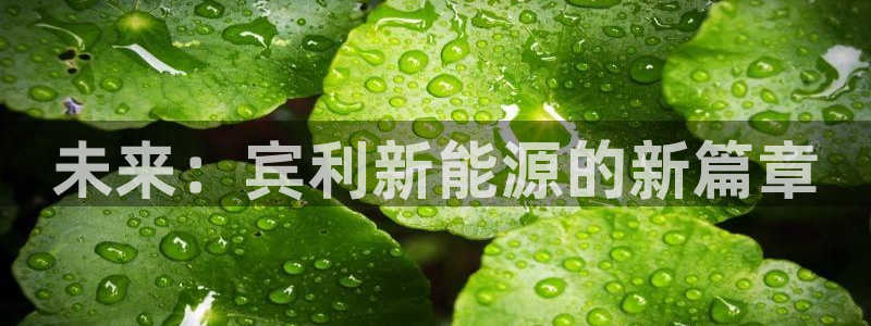 新宝平台gg