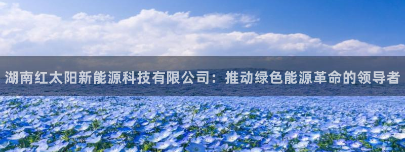 广东新宝电器gg