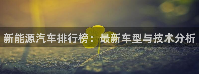 【新宝gg】