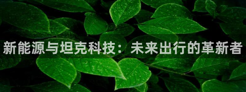 新宝GG娱乐-上皇巢网