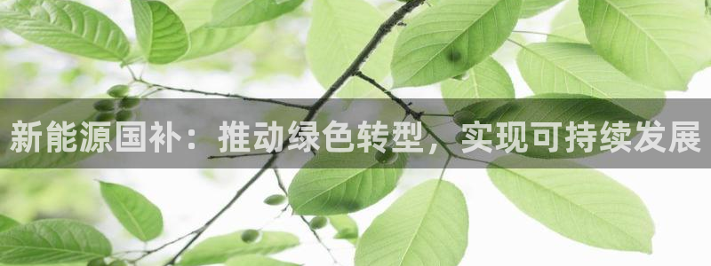 新宝gg在哪开户