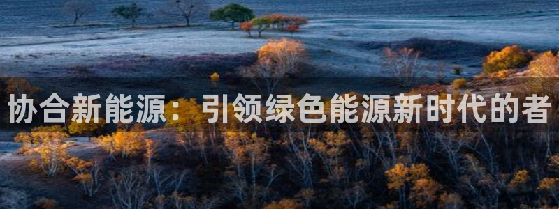 新宝gg成立