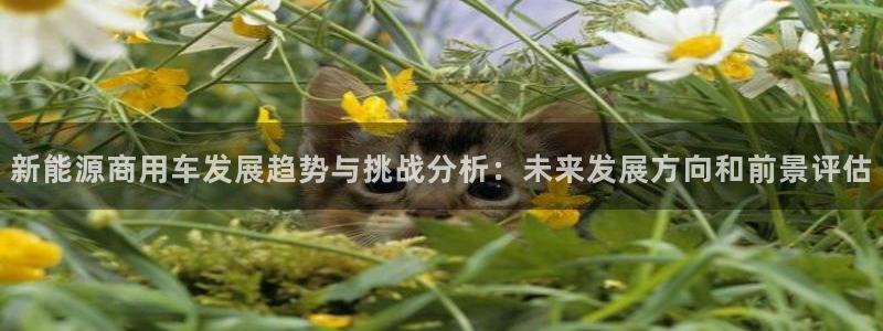 新宝gg官网