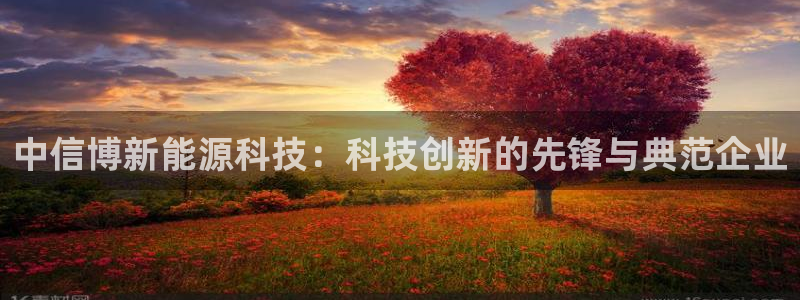 新宝gg介绍：中信博新能源科技：科技创新