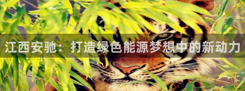 新宝gg登陆平台