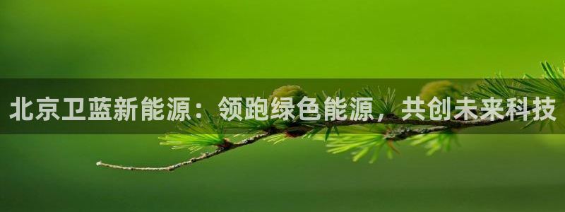 新宝gg什么