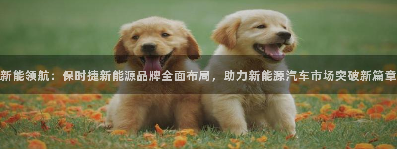 新宝gg是什么：新能领航：保时捷新能源品