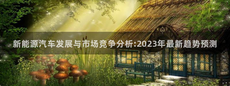 新宝测速gg：新能源汽车发展与市场竞争分