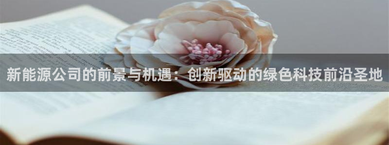 新宝gg娱乐注册全芏网：新能源公司的前景