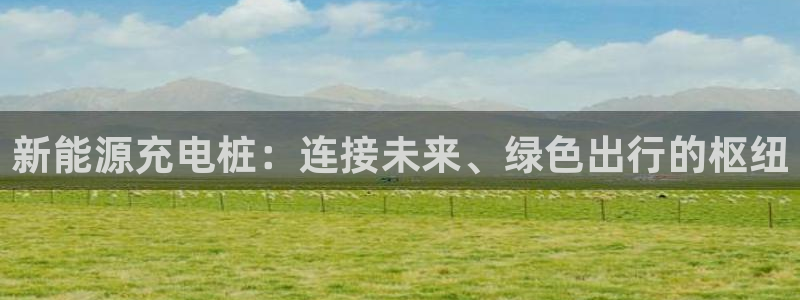 新宝gg手机官网登录：新能源充电桩：连接