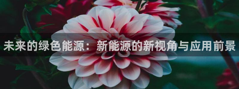 新宝gg维护