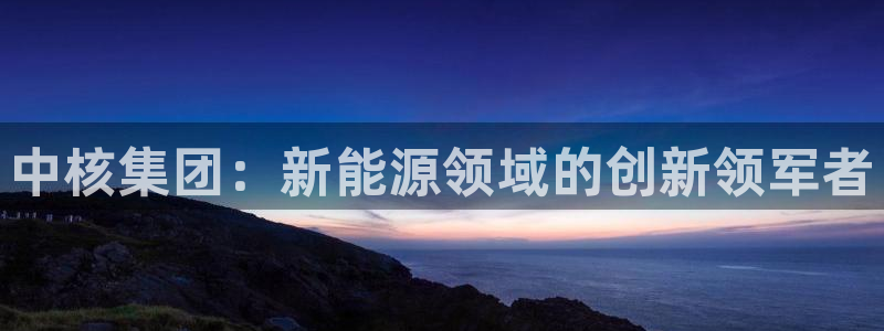新宝gg 内部 8