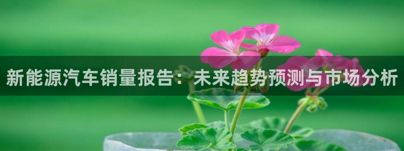 新宝gg平台连接