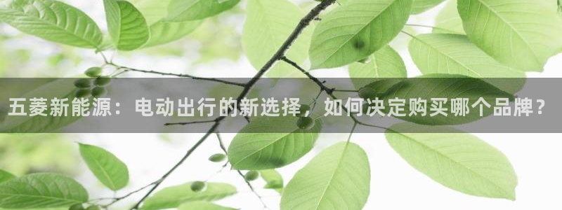 新宝gg专线