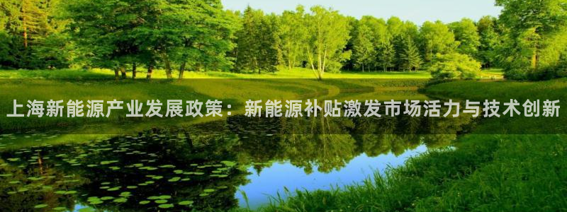 新宝gg会员登录：上海新能源产业发展政策