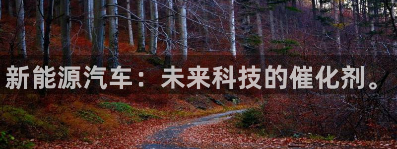 新宝 5 gg：新能源汽车：未来科技的催