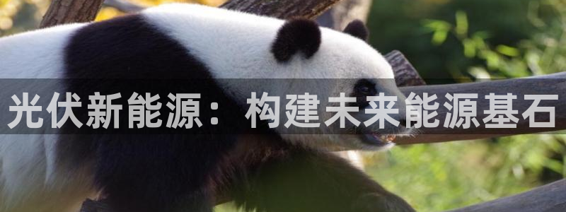 xbgg新宝gg：光伏新能源：构建未来能