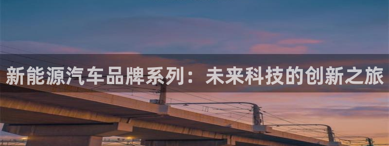 新宝gg(52360)：新能源汽车品牌系