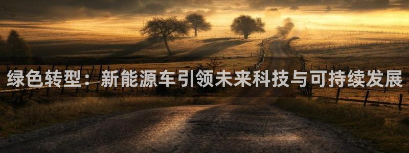 新宝gg总部：绿色转型：新能源车引领未来
