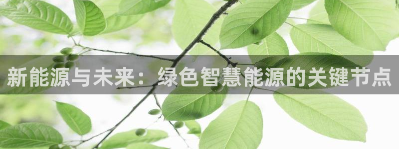 新gg官网_新宝GG创造奇迹：新能源与未
