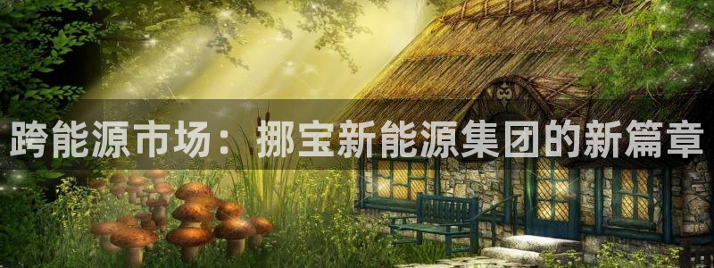新宝GG冰冰