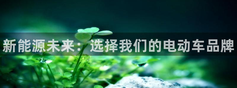 新宝_GG奇迹