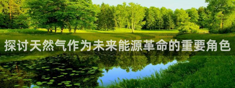 新宝gg提点