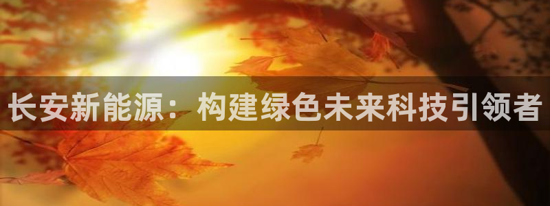 新宝gg奇迹