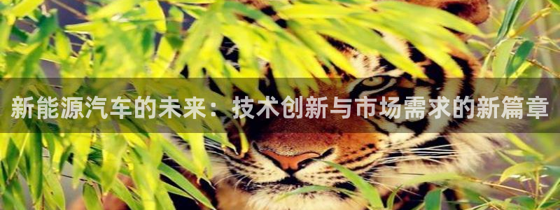 新宝gg博彩