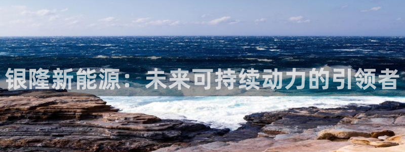 新宝gg代理