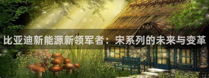 新宝gg平台下载安装