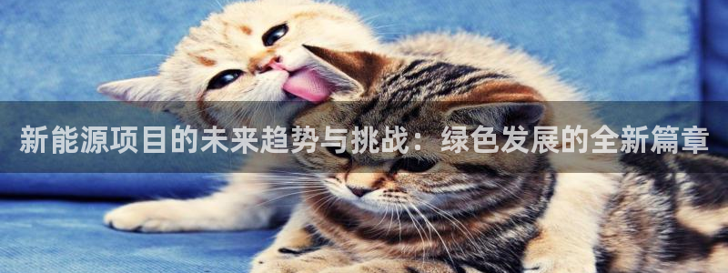 新宝gg登陆新