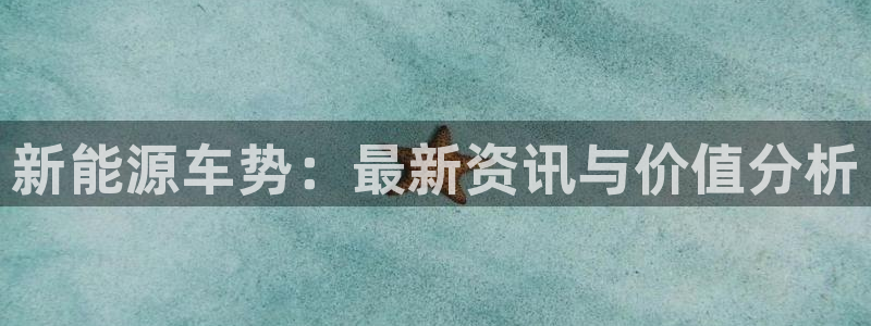 新宝GG反点