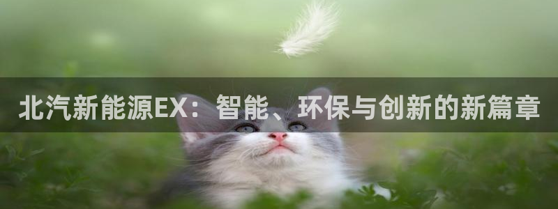 新宝gg开奖结果