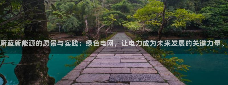 新宝gg主管_:蔚蓝新能源的愿景与实践:绿色电网,让电力成为