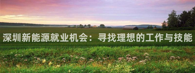 新宝gg直属