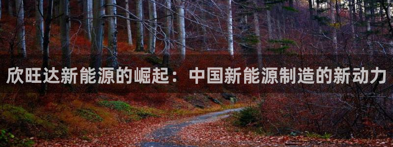 新宝gg娱乐注册全芏网:欣旺达新能源的崛起:中国新能源制造的