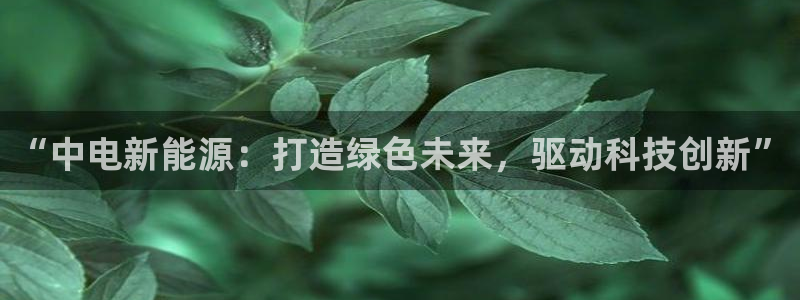 新宝gg测试