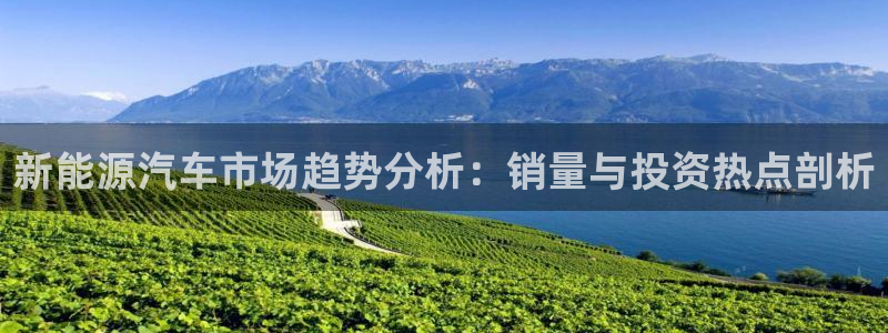 新宝gg如何赚钱