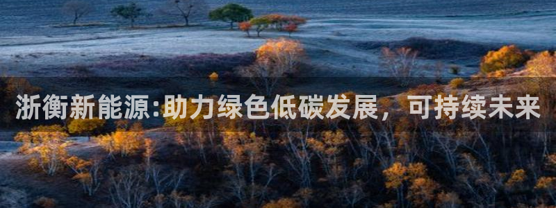 新宝Gg测速地址:浙衡新能源:助力绿色低碳发展,可持续未来