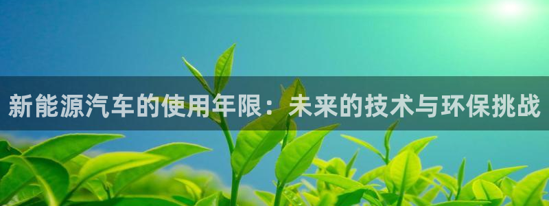新宝gg创建奇迹：新能源汽车的使用年限：