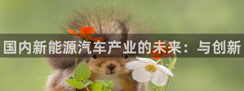 新 宝gg：国内新能源汽车产业的未来：与